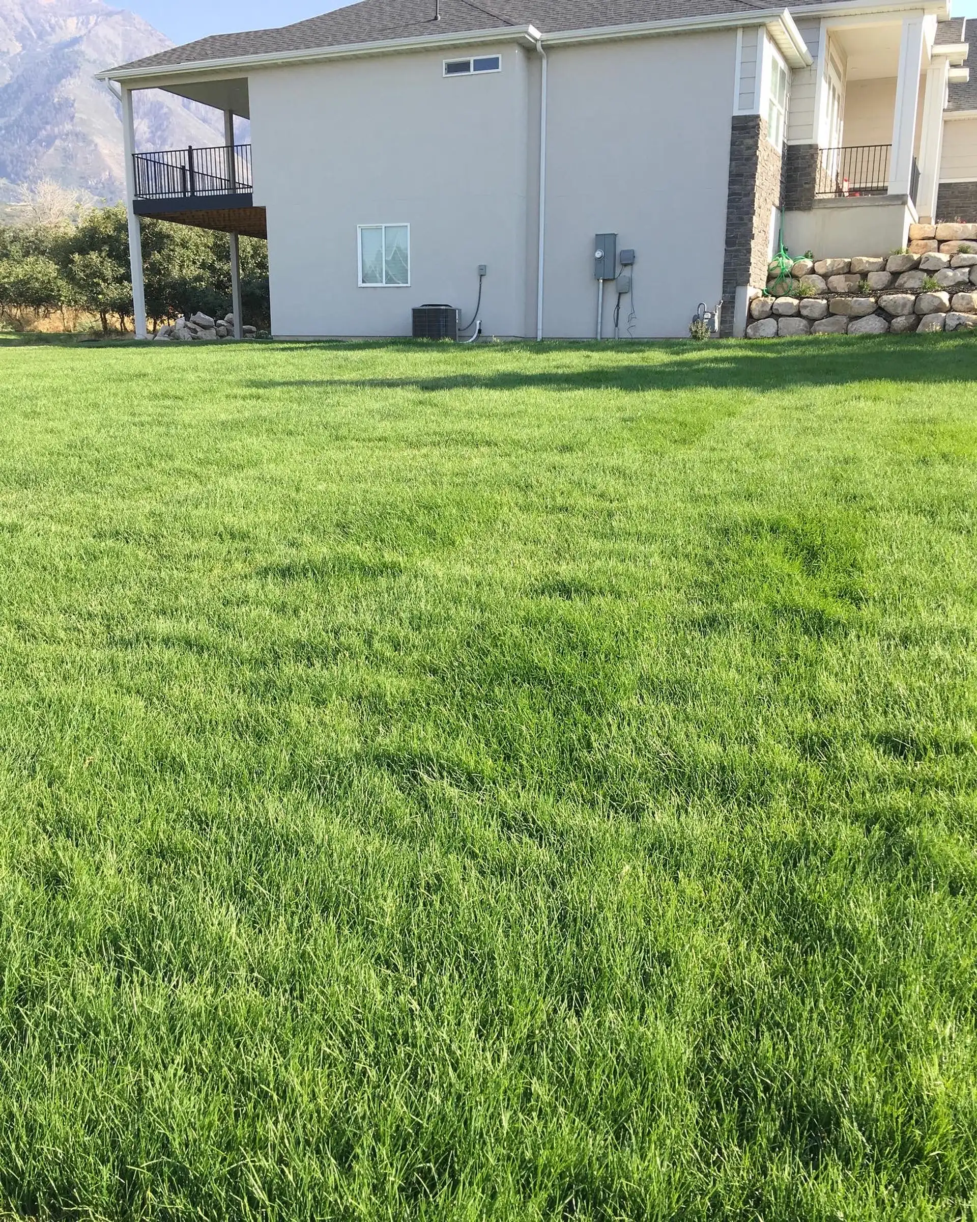 Large backyard sod lawn beside a retaining wall in Utah