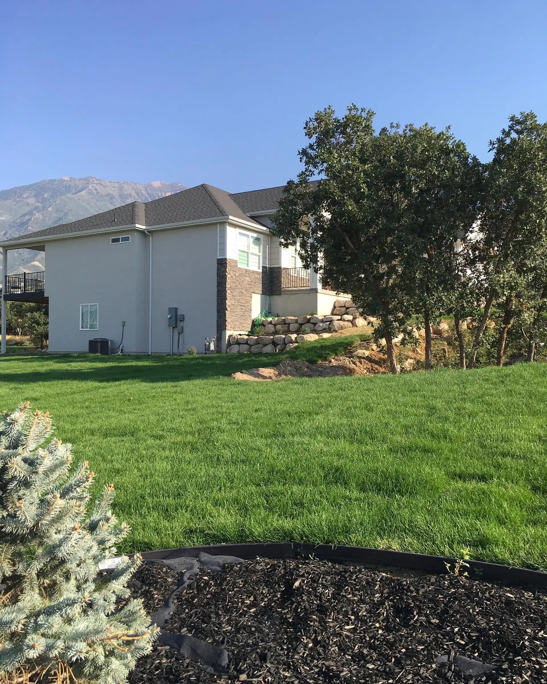 Lush green Kentucky bluegrass sod lawn with Utah mountains in the background
